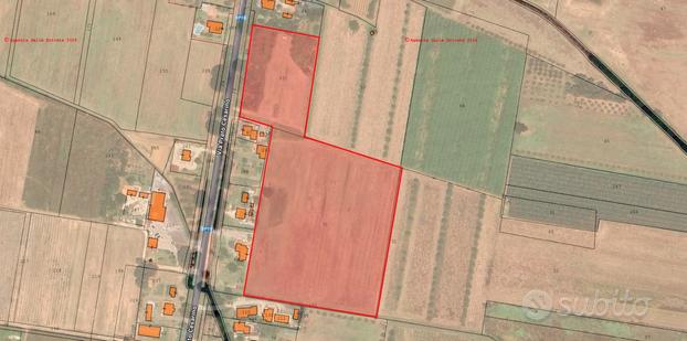 Terreno 3,7 ha - Cisterna Di Latina (LT) Tr.344