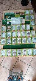 subbuteo