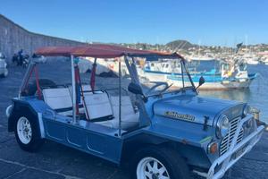 MINI MOKE Californian | Targa Originale | Investim