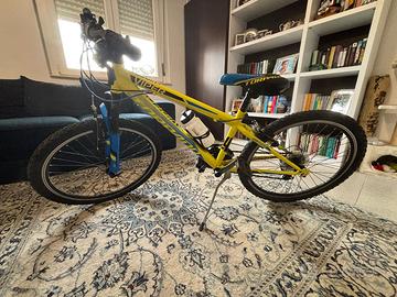 Bicicletta Torpado