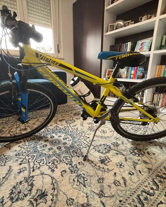 Bicicletta Torpado