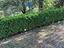 Immagine 22