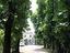 Immagine 14