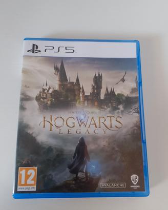 hogworts Legacy 
