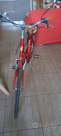 Bicicletta da passeggio