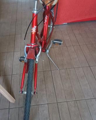 Bicicletta da passeggio
