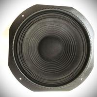 Altoparlante Woofer Professionale Visaton 12"