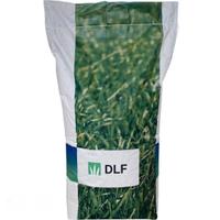 SEMENZA TAPPETO ERBOSO PRATO SPORTIVO LOIETTO 25KG