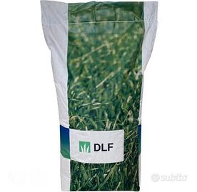 SEMENZA TAPPETO ERBOSO PRATO SPORTIVO LOIETTO 25KG