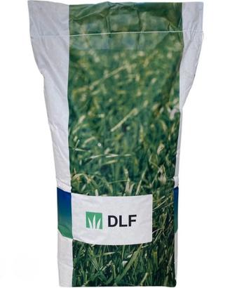 SEMENZA TAPPETO ERBOSO PRATO SPORTIVO LOIETTO 25KG