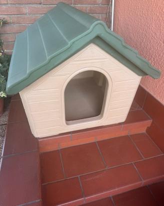 Cuccia per cane