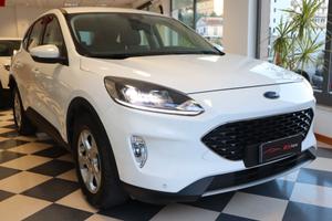 Ford Kuga 1.5 EcoBlue 120 CV 2WD Titanium