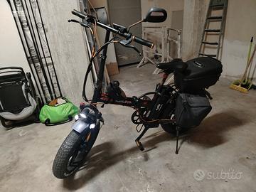 FatBike 250