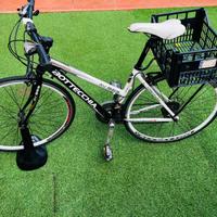 Bottecchia AV 803