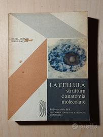 La Cellula, di Michel Durand e Pierre Favard