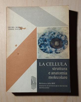 La Cellula, di Michel Durand e Pierre Favard