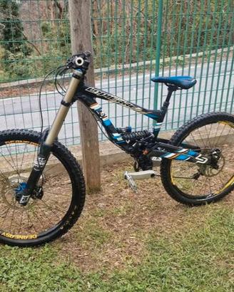 MTB Lapierre DH Team