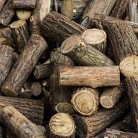 legnia..da..ardere..fubinia....rovere...faggio