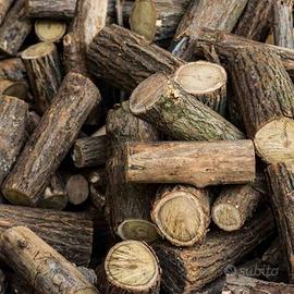 legnia..da..ardere..fubinia....rovere...faggio