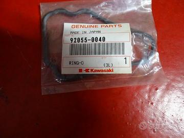 VARIE MINUTERIA KAWASAKI ZX10R