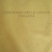 Dizionario di Italiano Illustrato vintage anni 80