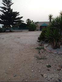 Terreno anche per attività