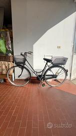 Bicicletta con cestino