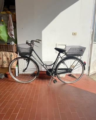 Bicicletta con cestino