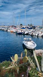 barca a motore Yamaha 25 cavalli 