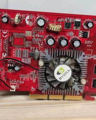 GeForce 6200 256MB DDR2