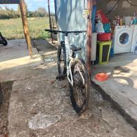 Mountain bike specialized 
