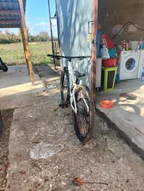 Mountain bike specialized 