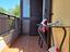 Immagine 12