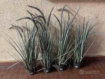 PIANTA ERBAFOSSO IN VASO 106,5CM