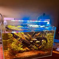 Led acquario TeknoLed 38 cm Made in Italy
