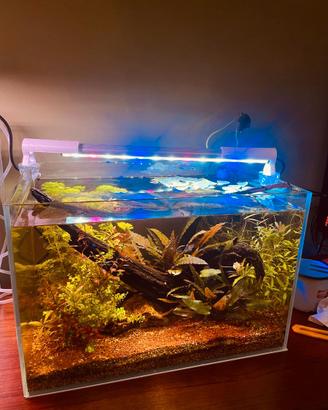 Led acquario TeknoLed 38 cm Made in Italy