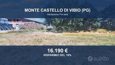 Immobile in asta di 75660 m² a Monte Castello di V