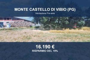 Immobile in asta di 75660 m² a Monte Castello di V