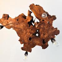 Lampadario in radice di ulivo