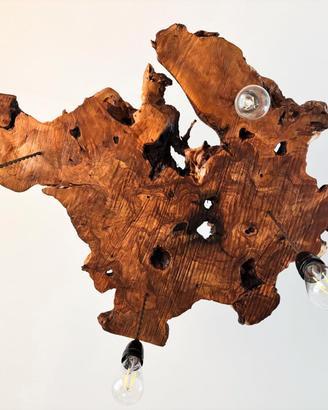 Lampadario in radice di ulivo