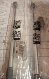 Pistone ammortizzatore (2) - corsa 100mm - 11kg