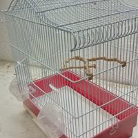 gabbietta per canarini 