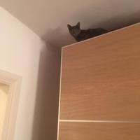 Pannelli ante scorrevoli armadio Ikea