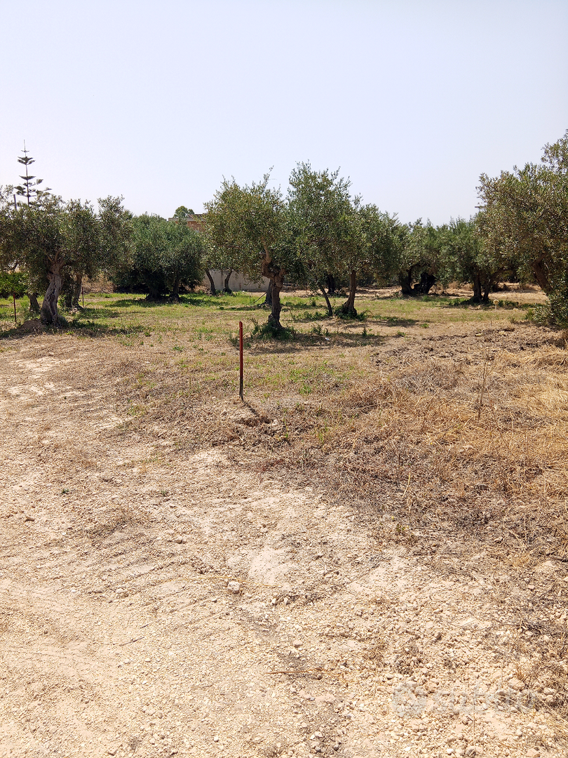 Terreno edificabile - Vista 2