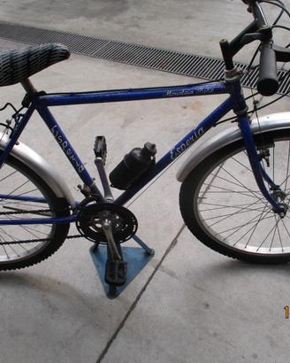 Mountain bike varie