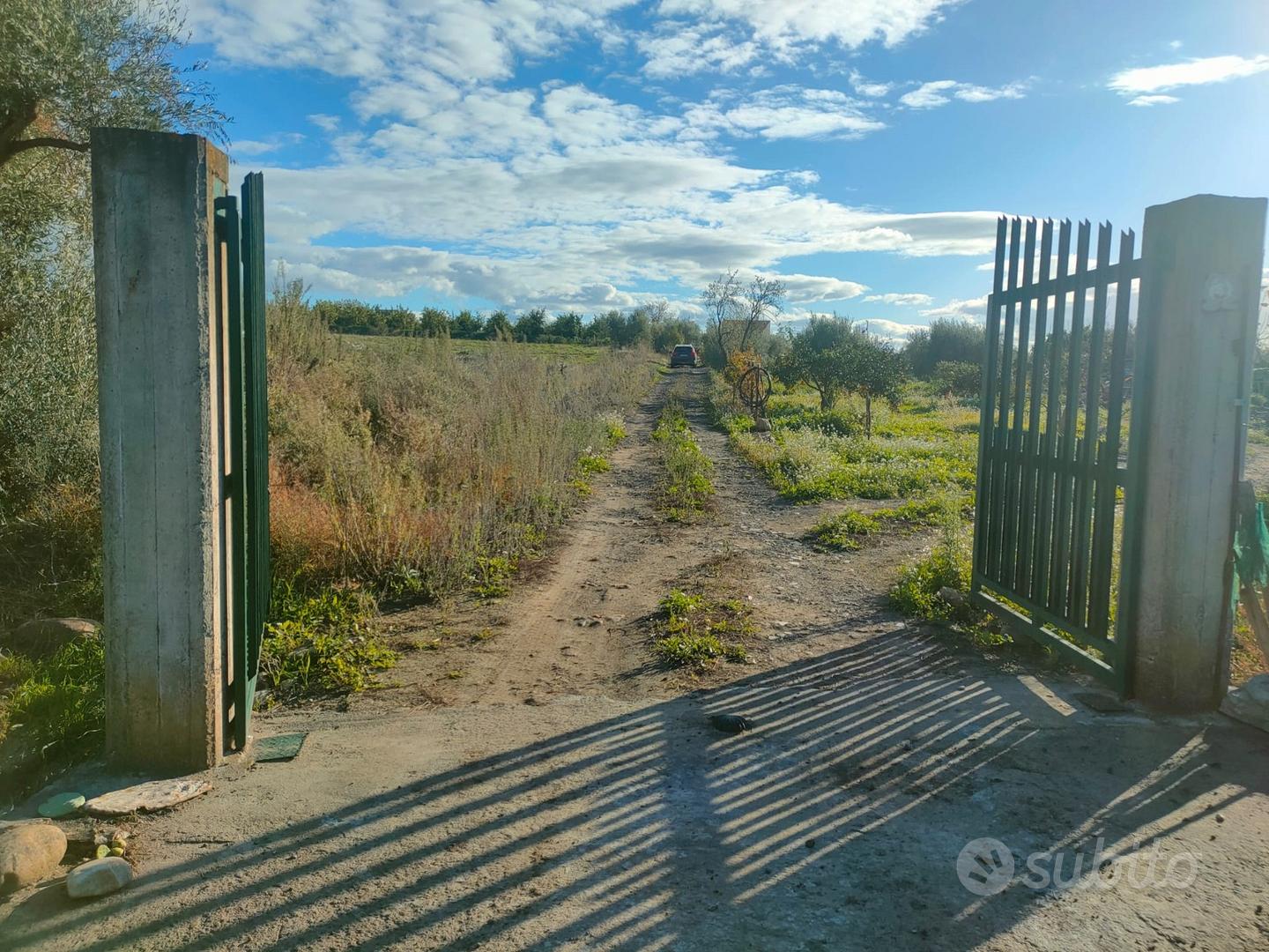 Terreno agricolo pianeggiante 7.800 mq con uliveto - Vista 2