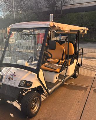 Golf cart elettrico 6 posti