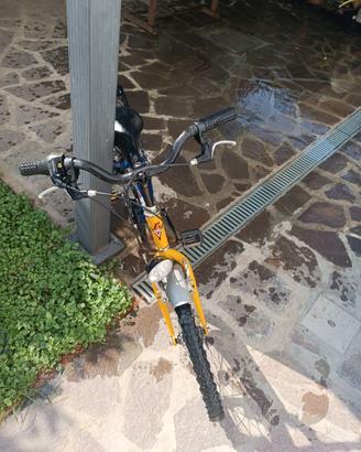 Bicicletta bambino