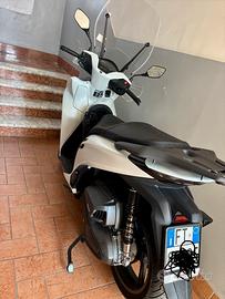 Sh 350 sport 2026