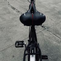 Bici Superleggera Frera Cosmic Race